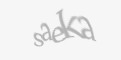 Código de segurança