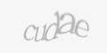 Código de segurança