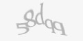 Código de segurança
