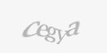 Código de segurança