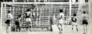 1980-81