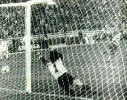 1981-82_08