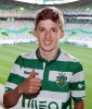 Gauld