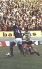 Jogadores