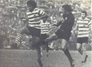 Nelson Fernandes