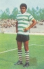 Nelson Fernandes_73-74