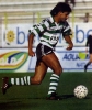 Paulinho Cascavel