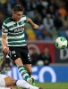 van Wolfswinkel_12-13_08