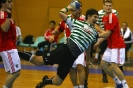 Andebol_2008-09_03