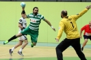 Andebol_2014-15_06