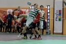 Andebol_2013-14_13