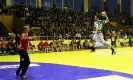 Andebol_2013-14_12