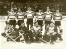 1981-1990