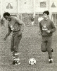 Treinos